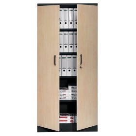 Armadio per ufficio in acciaio Wolfstahl - Armadio per documenti nero profondo con serratura 92x42x195cm, assemblato