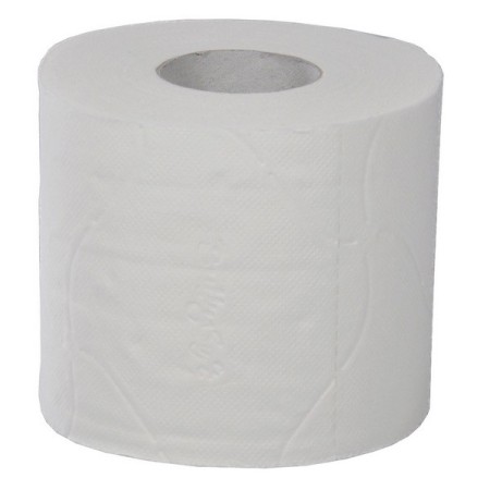 Toilettenpapier Kleinrollen 60 Rollen (10 x 6)