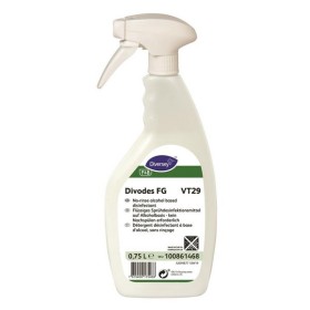 Divodes FG VT29 Desinfektionsreiniger 6 Stück