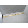 hansgrohe RainDrain Flex Fertigset Duschrinne 100 cm, kürzbar