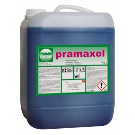 Pramaxol Intensivreiniger 1 Bidon