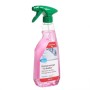 MayaEasy San Sanitärreiniger 6 Flaschen
