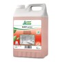 SANET Perfect Sanitärreiniger 2 Bidons