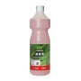 ECO sanirein Sanitärreiniger 12 Flaschen