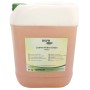Lizerna Active Green Waschmittelbooster 1 Bidon