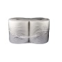 Putztuchrollen Maxi neutral, 2-lagig 2 Rollen
