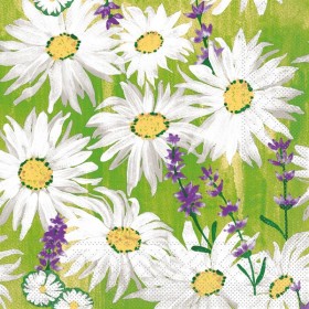 Mank Tissue Serviette 600 Stück (6 x 100)