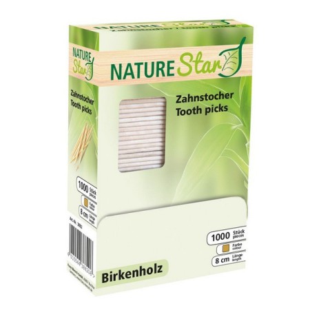 Zahnstocher 1000 Stück