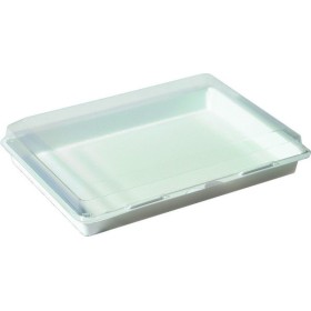 Lunchbox mit Scharnierdeckel 100 Stück