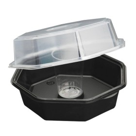 Octaview Box 240 Stück