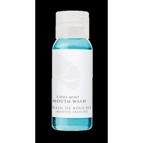 Mundwasser Cool Mint 308 Stück