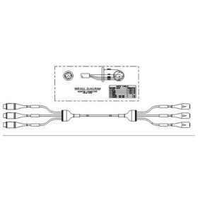 Transpac 1 Stück