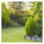 Grüne Solar-Gartenleuchte Led - IP65 - 4000K