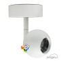 LED-Strahler FENIX Weiss - 12W-8W-5W - CRI+93 SURFACE - UGR13 - CCT