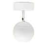 LED-Strahler FENIX Weiss - 12W-8W-5W - CRI+93 SURFACE - UGR13 - CCT