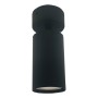Orientierbare Deckenleuchte - HOORN SCHWARZ - für eine GU10-Lampe