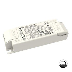 Treiber Lifud – Dimmbar 0–10V – Für LED-Leuchten bis 30W – Kein Flackern – Ausgang 25–42V DC 500–750mA