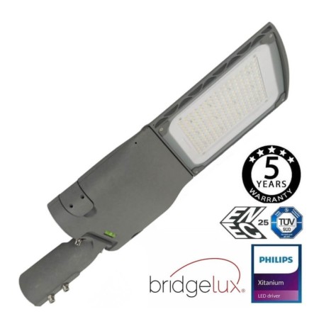 LED Strassenleuchte 100W CAPRI Philips Driver Programmierbar SMD5050 240Lm/W 4000K