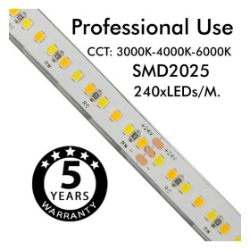 LED-Streifen 24V | 240xLED/m | 5m | SMD2025 | CCT | 10W/M | IP20