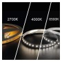 LED-Streifen 24V | 240xLED/m | 5m | SMD2025 | CCT | 10W/M | IP20