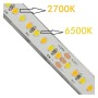 LED-Streifen 24V | 240xLED/m | 5m | SMD2025 | CCT | 10W/M | IP20