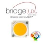 LED Strahler 40W GRAZ Schwarz BRIDGELUX Chip 3-Phasen Schienensystem CRI +92 - 3CCT