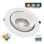 Einbaustrahler Schwenkbar LED - 40W - Treiber Philips Certa Drive - 24º - CCT - CRI+92