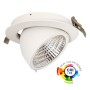 LED Einbaustrahler 30W - Philips CertaDrive - Schwenkbar Rund - HAMBURG