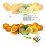 LED Deckenleuchte 24W - 22W- 20W -18W Bewegungsmelder - 2700K+CCT - OSRAM CHIP
