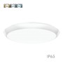 LED-Deckenleuchte für die Oberfläche - IP65 - 20W - 16W - 12W - CCT - Wählbare Farbe