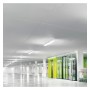 Wasserdichtes Anzeige für zwei IP65 LED Röhren 150cm