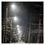 LED Strassenleuchte 100W ASKER BRIDGELUX Chip 160Lm/W