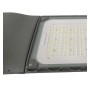 LED Strassenleuchte 100W CAPRI Philips Driver Programmierbar SMD5050 240Lm/W