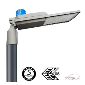 LED Strassenleuchte 100W HALLEY BRIDGELUX Chip 150lm/W - Dämmerungssensor