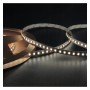 LED Streifen 24V | CRI ELITE |140 LED/m | 5m | SMD2835 | 1600Lm |11W/M | CRI98 | IP20