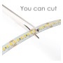 LED-Streifen 24V | 120xLED/m | 5m | SMD2835 | 1680Lm | 12W/M | IP20