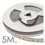 LED-Streifen 24V | 182xLED/m | 5m | SMD2835 | 11200Lm| 16W/M | IP20