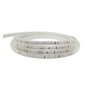 LED-Streifen 24V | 60xLED/m | 10m | SMD2025 | 30º | 10W/M | IP20 | CRI90