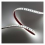 LED-Streifen 220V | 120xLED/m | 50m | SMD2835 | 800Lm/M | 8W/M | IP65 | Schnitt alle 10 cm