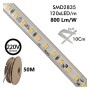 LED-Streifen 220V | 120xLED/m | 50m | SMD2835 | 800Lm/M | 8W/M | IP65 | Schnitt alle 10 cm