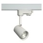 LED-Schienenstrahler 8W Dreiphasig - Weiss - 24º - Hohe Lichtleistung 165 Lm/W