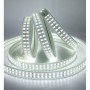100M Rolle LED Wasserdichter Streifen ATLANTIC 220-240V IP65 2-reihig