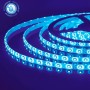 5m LED-Streifen REN Blau 12V DC IP65 Wasserdicht