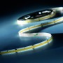 5m LED-Streifen COLUMBIA-24 24V Bernstein IP65 10W/m