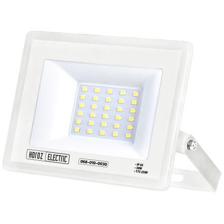 LED-Projektor-Strahler LEON-30 30W Weiß 6400K IP65