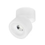 LED Aufbaustrahler LAYLA-15 15W 360° drehbar, 90° verstellbar Weiß