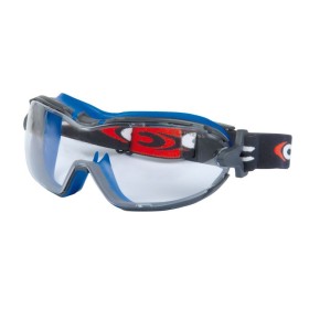 Schutz-Brillen SCENIC-FIT (1 Box: 5 Brillen)