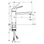 hansgrohe Focus M42 Einhebel-Küchenmischer 120, 1jet