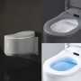 GROHE Sensia Arena Dusch-WC Komplettanlage für Unterputzspülkästen