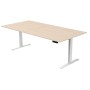 Move-3 XL Elektrisch höhenverstellbarer Schreibtisch rechteckig, 200x100cm